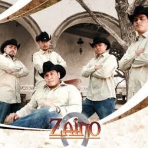 Avatar for Zaino