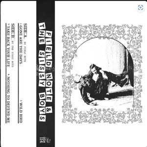 Field Note / The Sissy Boys Split - EP