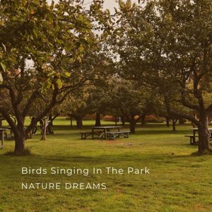 Birds Singing In The Park