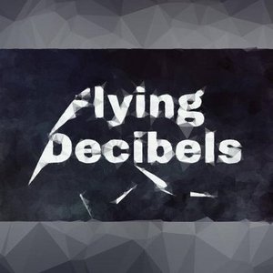 Avatar for Flying Decibels