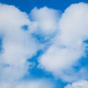 Sky on a Truck Body