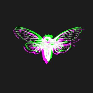 Avatar for Cicada 3301