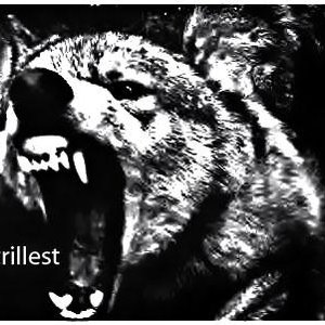 Avatar for Atrillest