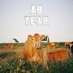 Ah Yeah album cover