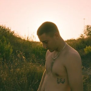 Avatar for Stevie סטיבי