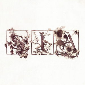 Colour the Small One (Deluxe Edition) by Sia