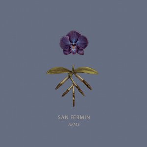 San Fermin - Arms Lyrics - Zortam Music