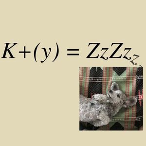 K+(y)=ZzZz