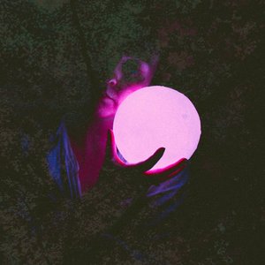 Scintilla