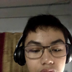 Avatar for Lil Fliptard