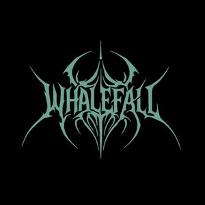 WhaleFall のアバター