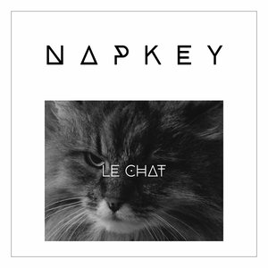 Le chat
