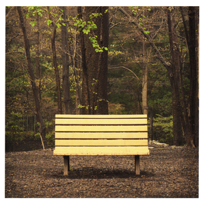 Streetlight Manifesto