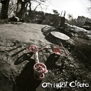 Оттенки Серого