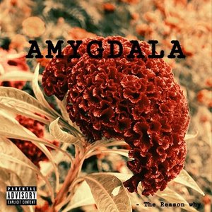Amygdala