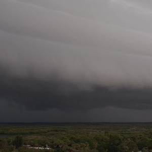 Sound of a Dying Hurricane by Michael Oster
