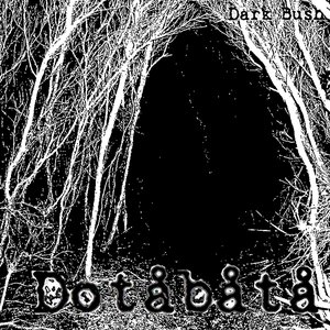 Dark Bush