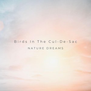 Birds In The Cul-De-Sac
