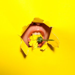 Mastico Tus Flores
