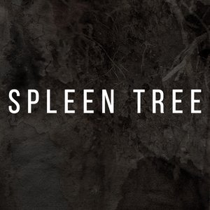 Awatar dla Spleen Tree