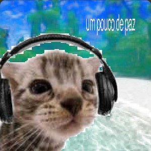 um pouco de paz (ano passado eu morri)