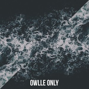 Avatar for Owlle Only