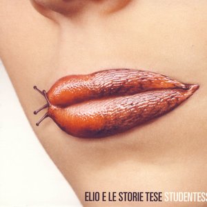 Elio e le storie tese - Allegretto Lyrics - Zortam Music