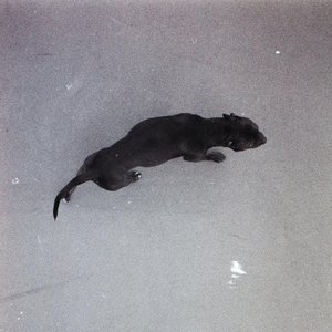 Still Blank (Deluxe)