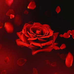 Le John - Naiilang - Single - Zortam Music