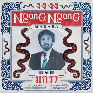 Ngong Ngong by Makara
