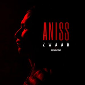 Zwaar