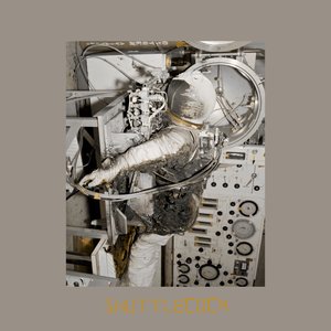 Shuttlecock