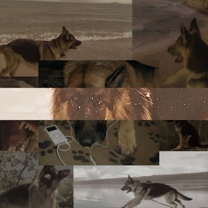LΣΘ (LEO)