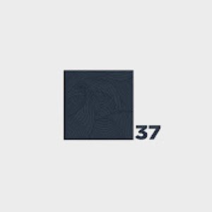 Avatar for ■37