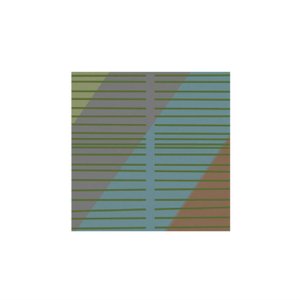Avatar for SILVER CRUMBS