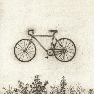 Bicycle album cover