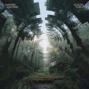 Echoes Forest