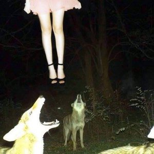 Club Of Weird People