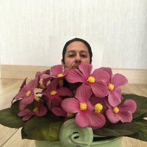Avatar for Deli Kuvveti