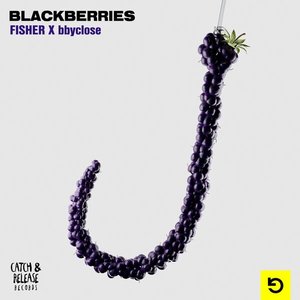 FISHER & Bbyclose - Blackberries Lyrics - Zortam Music