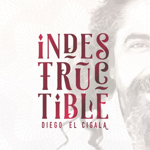 Diego El Cigala