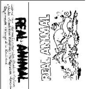 Real Animal