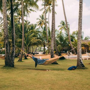 Hammock