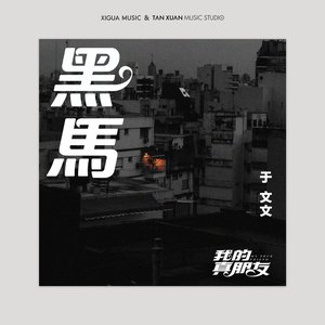 黑馬-電視劇《我的真朋友》插曲