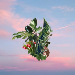 daydreams