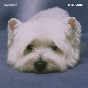 BITCRUSHER