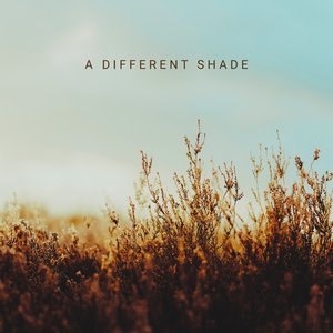 A Different Shade