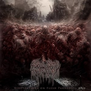 Elucidations on Flesh Paradoxes