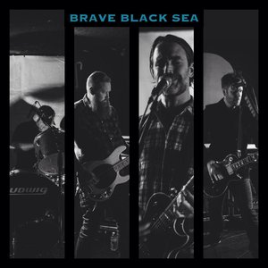 Avatar for Brave Black Sea