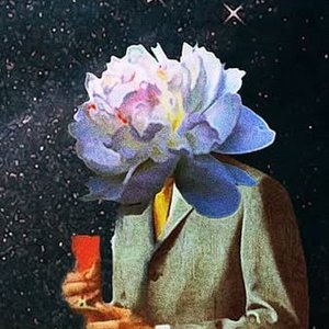 Avatar for Blooming